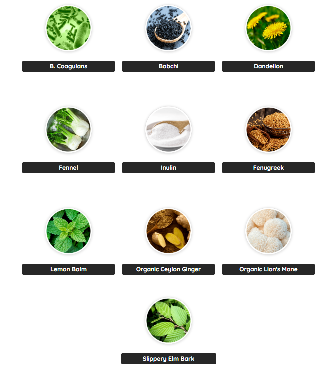 PrimeBiome Ingredients