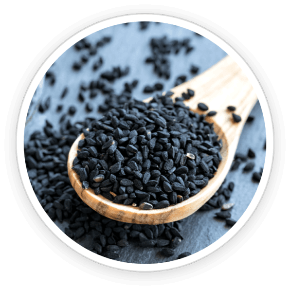 Prime Biome Official Website Babchi Ingredients