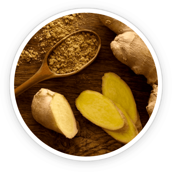 Prime Biome Price Organic Ceylon Ginger Ingredients