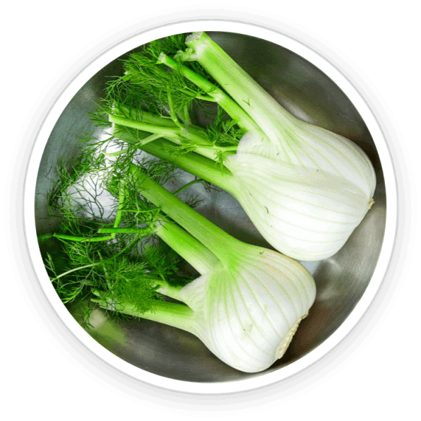 Primebiome Official Website Buy Online Fennel Ingredients